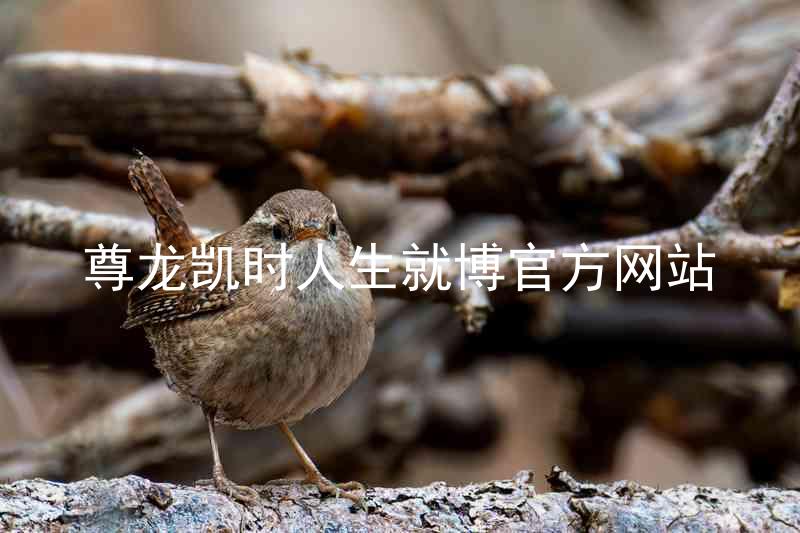 尊龙凯时人生就博官方网站