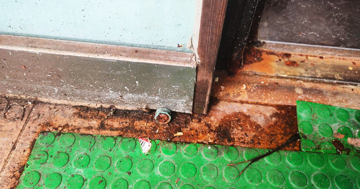 WINGDOM-威盾螞蟻藥凝膠餌劑-螞蟻疑似溜達路過的地方-門邊